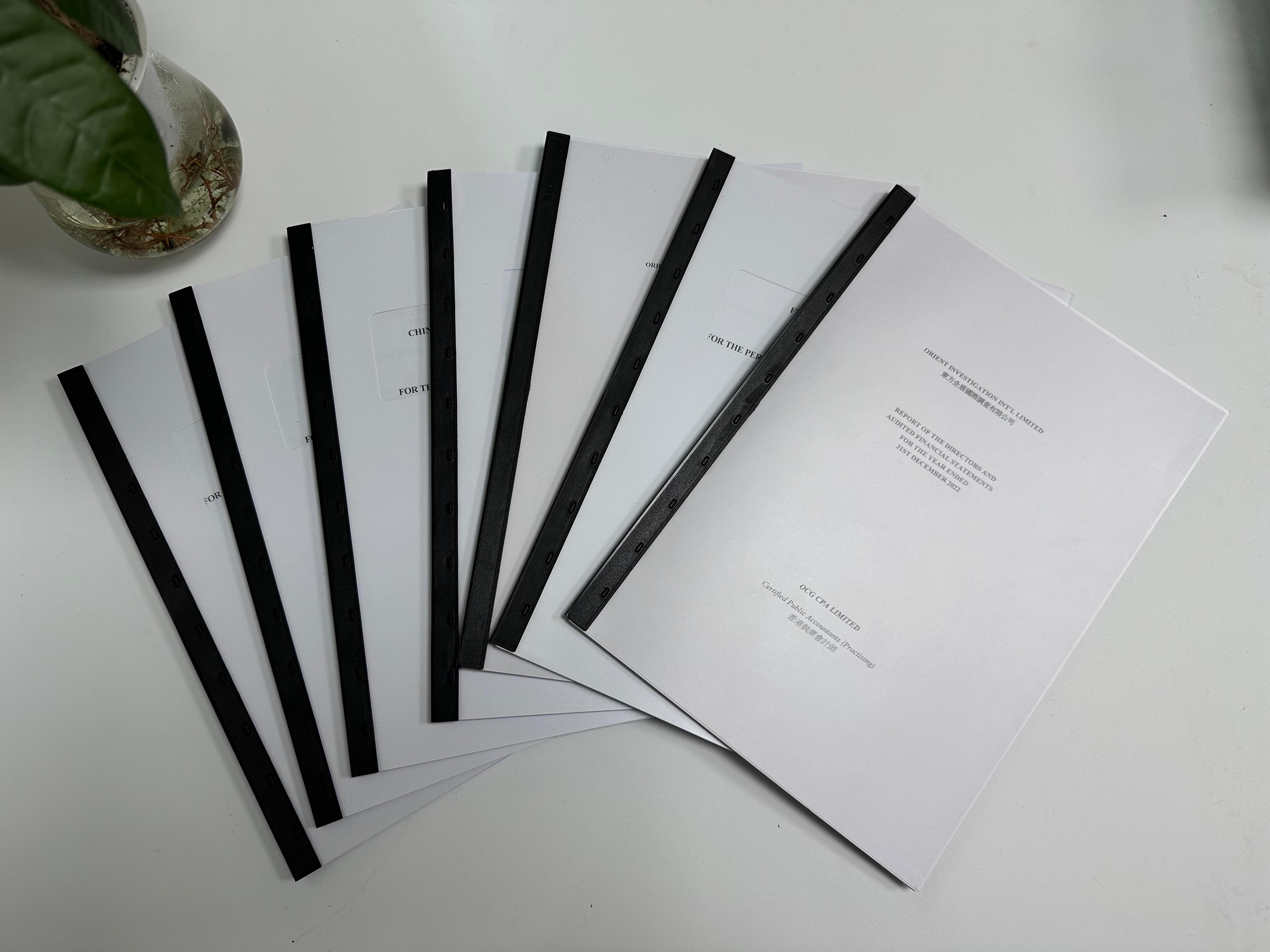 香港公司審計(jì)報(bào)告內(nèi)容及會(huì)計(jì)師意見