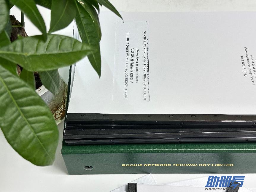 香港公司年審：自行辦理與委托辦理的優(yōu)劣對比！