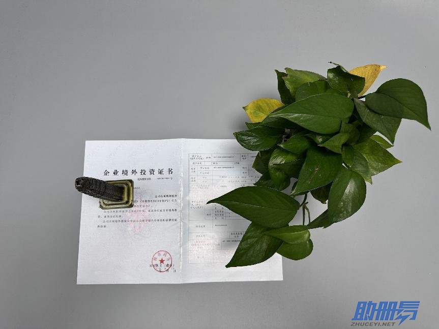 學(xué)會這3招，保你找到滿意的香港秘書公司！