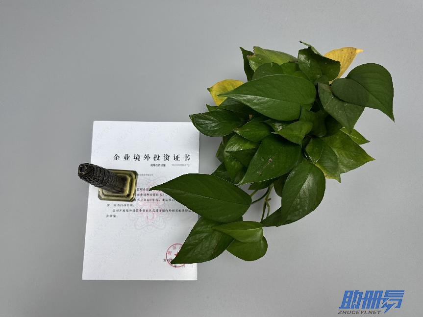 海外公司后期維護(hù)知識(shí)介紹！